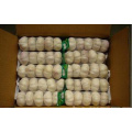 2015 New Crop Chinese Fresh Garlic